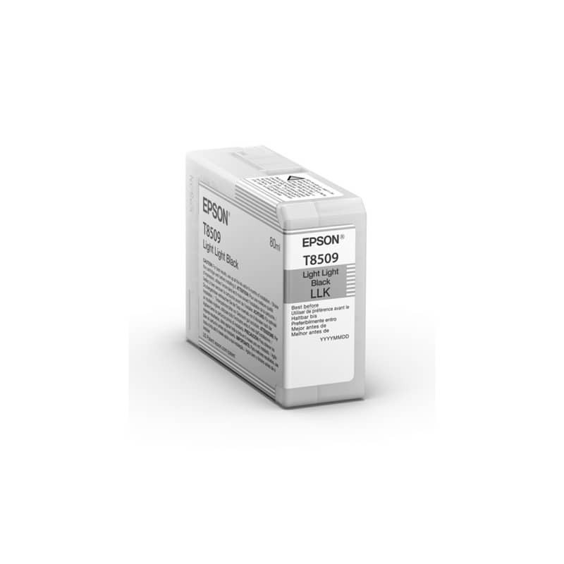 Cartuccia inkjet Epson nero chiaro  C13T850900